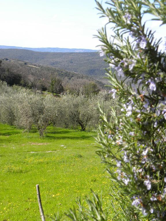 Agriristoro Podere S. Andrea Massa Marittima Eksteriør billede