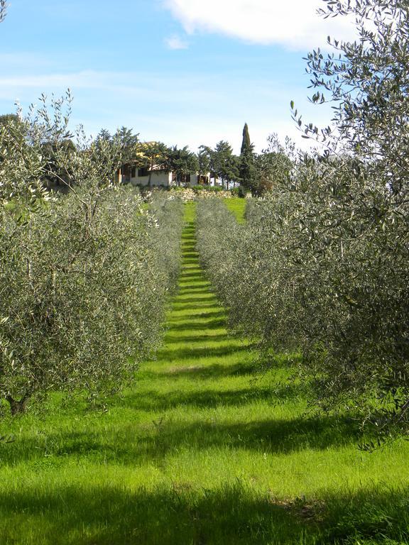 Agriristoro Podere S. Andrea Massa Marittima Eksteriør billede
