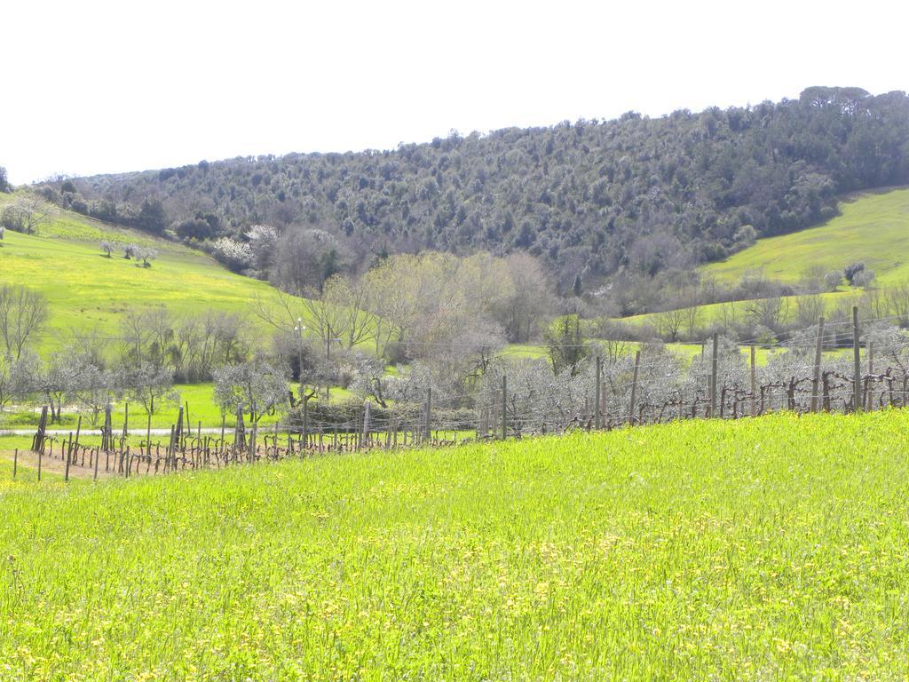Agriristoro Podere S. Andrea Massa Marittima Eksteriør billede