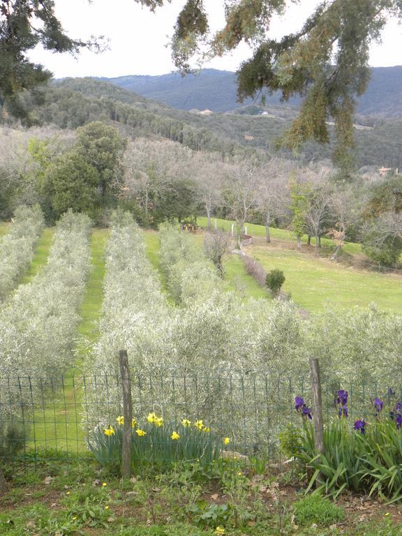 Agriristoro Podere S. Andrea Massa Marittima Eksteriør billede