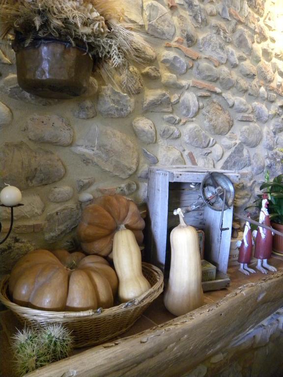 Agriristoro Podere S. Andrea Massa Marittima Eksteriør billede