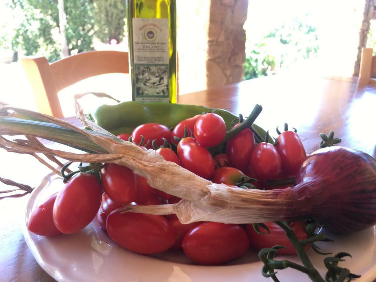 Agriristoro Podere S. Andrea Massa Marittima Eksteriør billede