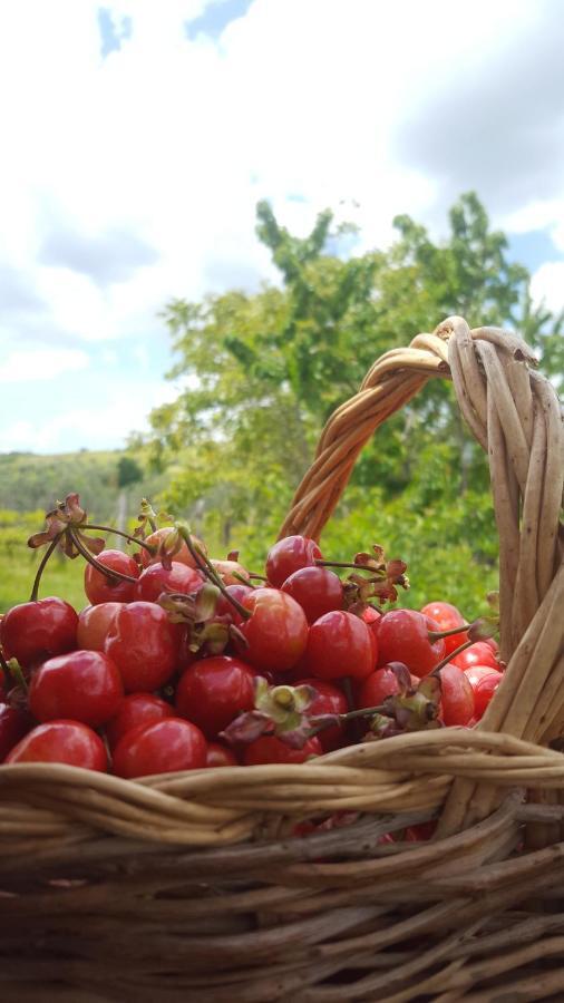 Agriristoro Podere S. Andrea Massa Marittima Eksteriør billede